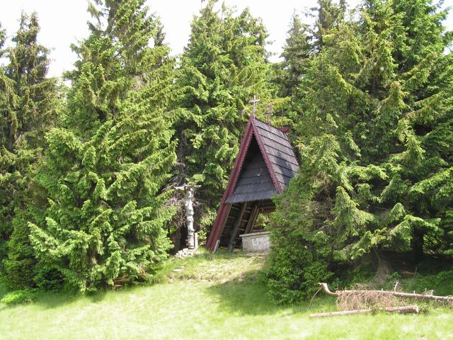 wycieczka (19)